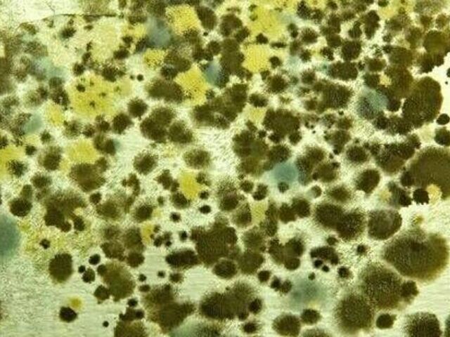 https://icaro.icaromediagroup.com/system/images/photos/16532273/original/open-uri20250526-18-1vlxqqs?1748224864