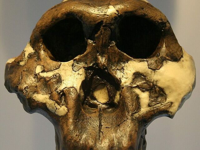 https://icaro.icaromediagroup.com/system/images/photos/16535369/original/open-uri20250530-19-a9rqb1?1748636700