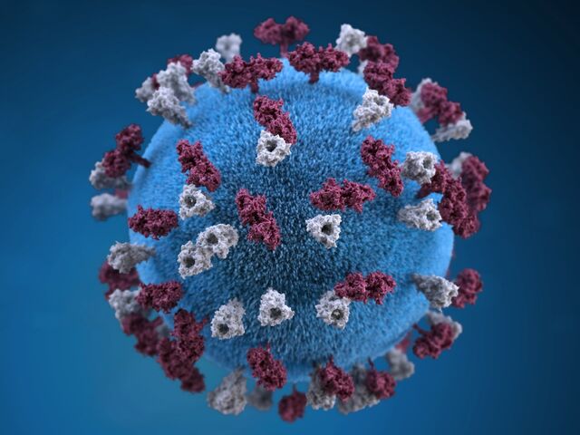 https://icaro.icaromediagroup.com/system/images/photos/16536802/original/open-uri20250602-19-1sjkai?1748895580
